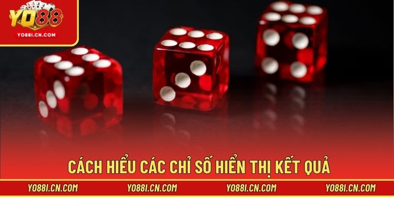 Cách hiểu các chỉ số hiển thị kết quả