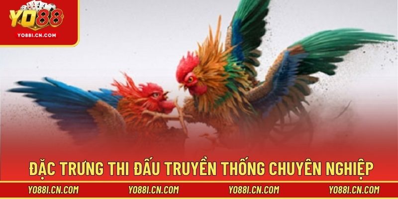 Đặc trưng thi đấu truyền thống chuyên nghiệp