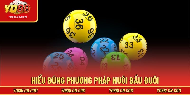 Hiểu đúng phương pháp nuôi đầu đuôi